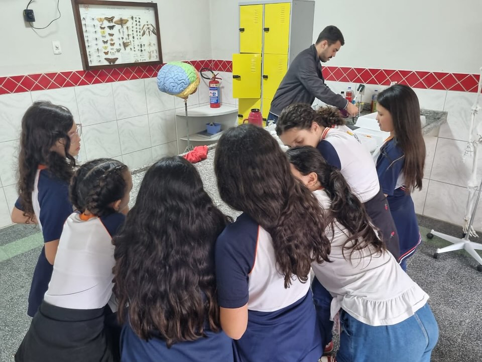 escoladombosconoxv 1