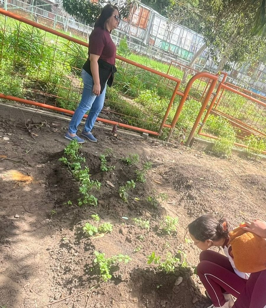 xvcanhotinhovemviverquinze 10