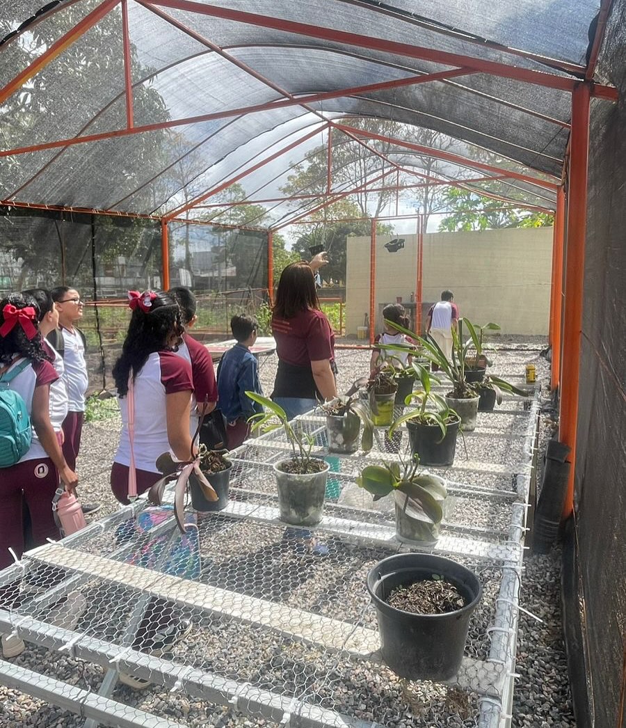 xvcanhotinhovemviverquinze 10